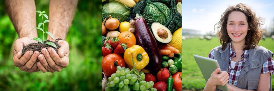 screenshot of Smart! Fertilizer Management